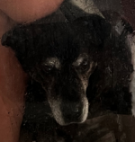 1733834441768.png 1733834441768.png