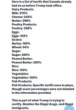 IMG_3929.jpeg IMG_3929.jpeg