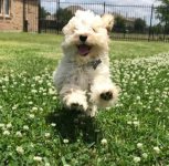 Screenshot 2021-10-31 at 9.26.48 AM (1).png