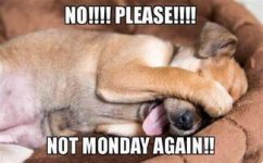monday 1.jpg