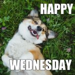 wednesday1.jpg