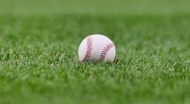 mlb baseball.jpg