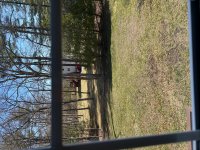 IMG_1563.jpg