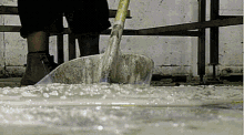 1746029108365.gif 1746029108365.gif