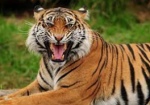 Screen Shot 2022-09-29 at 2.59.57 PM.png