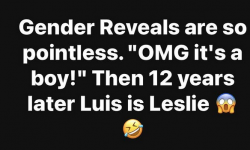1746213823362.png 1746213823362.png