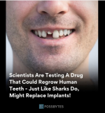 1748286529466.png