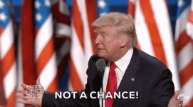 1750950801380.gif 1750950801380.gif