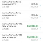 Screenshot_20250713_132226_Citi Mobile.jpg