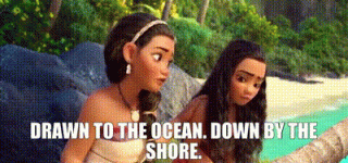 433e3796-58a1-4dab-8be8-6bb77fc4cb30_text.gif 433e3796-58a1-4dab-8be8-6bb77fc4cb30_text.gif