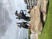 TC_00146.jpeg TC_00146.jpeg