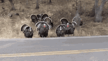 1669224399807.gif 1669224399807.gif