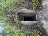 IMG_3103.jpeg