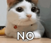 IMG_3863.gif IMG_3863.gif
