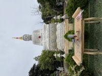 IMG_3284.jpeg
