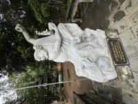 IMG_3283.jpeg