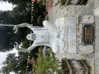 IMG_3272.jpeg
