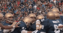1758223147985.gif 1758223147985.gif
