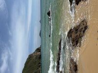 IMG_3731.jpeg