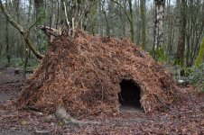 Forestschool1-scaled.jpg