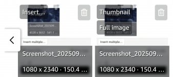 Screenshot_20250927_145433_Samsung Internet.jpg