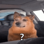 1761319464531.gif