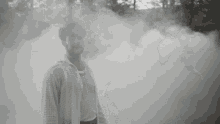 foggy-king.gif