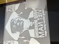 IMG_6875.jpeg