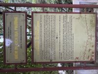 IMG_7235.jpeg
