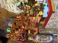 IMG_7214.jpeg