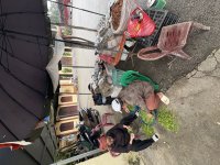 IMG_7285.jpeg