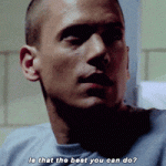 IMG_7596.gif