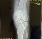 IMG_7688.jpeg