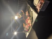 IMG_7732.jpeg