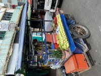 IMG_9480.jpeg