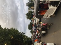 TC_00231.jpeg