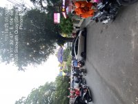 TC_00234.jpeg
