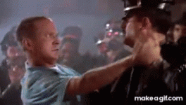 1763503753427.gif