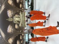 IMG_8007.jpeg