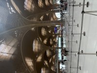 IMG_8009.jpeg