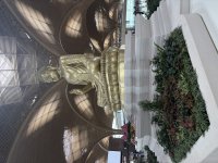 IMG_8012.jpeg