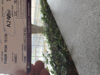 IMG_8016.jpeg