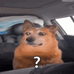 1764117464242.gif