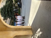 IMG_8242.jpeg
