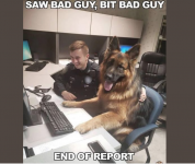 1764187333254.png