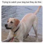 1764252205506.png