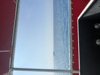 IMG_2980.jpeg