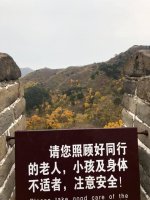 IMG_4523.JPG IMG_4523.JPG