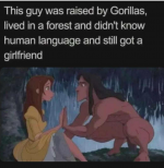 1765551342184.png 1765551342184.png