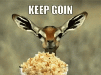 1765857911435.gif